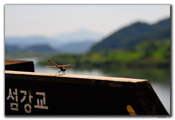 KR0127.Libelle