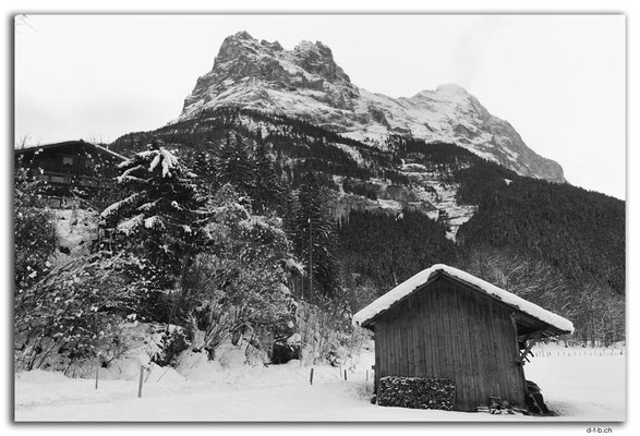 GW0007.Eiger