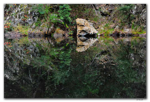 AU1468.Nowa Nowa.Boggy Creek