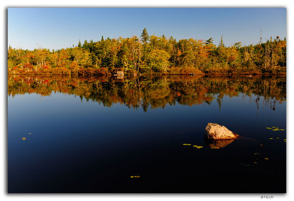 CA1303.Newcombes Lake