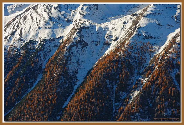 A0695.Nationalpark.CH