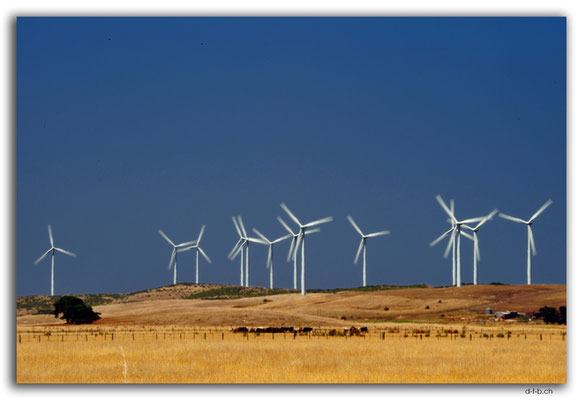 AU1145.Codrington Windfarm