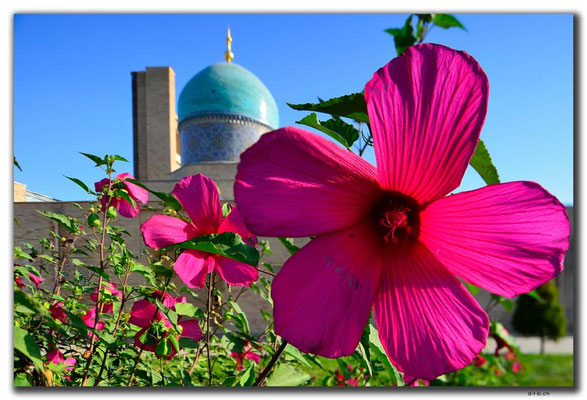 UZ0169.Tashkent.Barak Khan Medressa