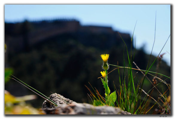 TR0459.Alanya.Burg
