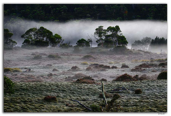 AU1361.Overland Track.Windemere Hut.Morning Mist
