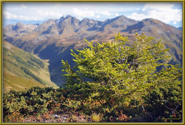 A0418.Schlappintal.CH