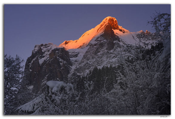 GW0179.Wetterhorn mit Abendrot