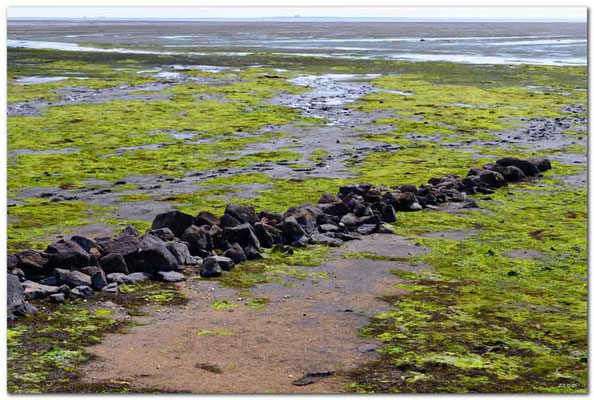 DE078.Hallig Hooge.Steinmauer