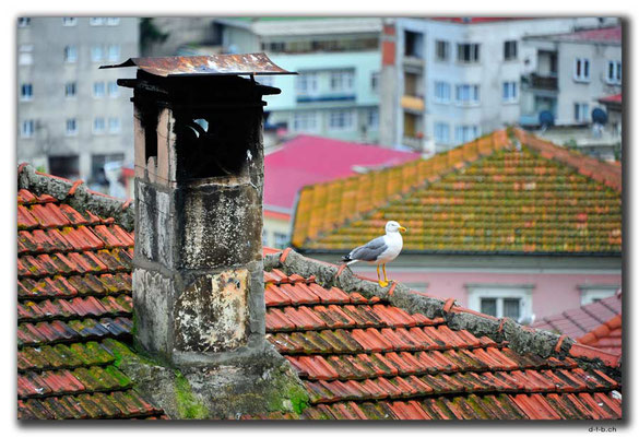 TR0958.Giresun.Altstadt