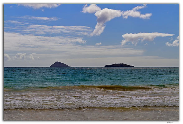 EQ0131.Floreana Island.Enderby and Champion Island