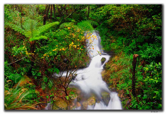 TW0048.Jinguashi.Wasserfall