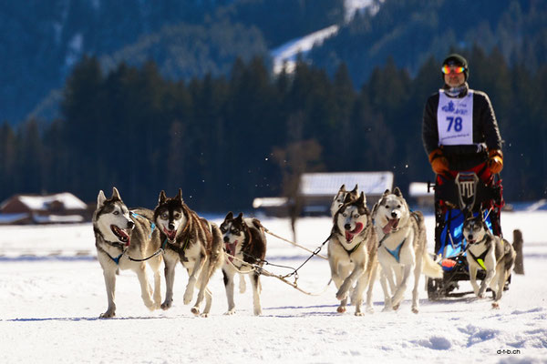 CH1365.SH-Rennen Lenk.Egli Donato