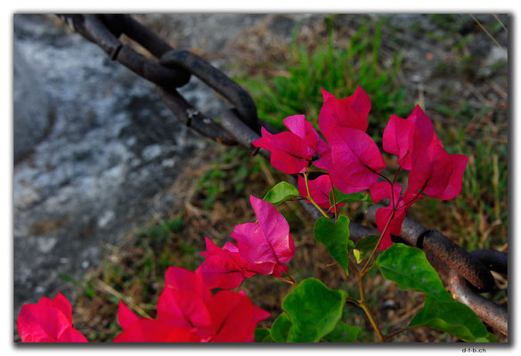 TW0076.Kaohsiung.Blumen