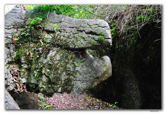 NZ0560.Labyrinth Rocks. The Iguanodon Head