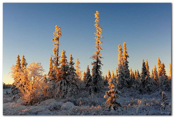 SE0093.Lapland Wilderness