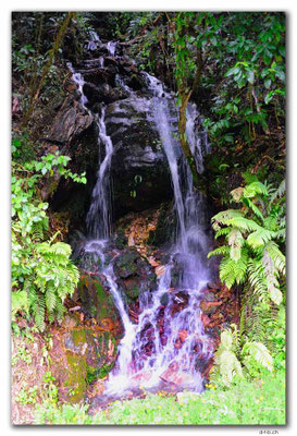 NZ0550.Kahurangi N.P.Waterfall beside the Cobb Dam Road