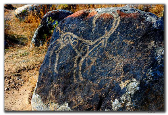 KG0068.Cholpon Ata.Petroglyphen