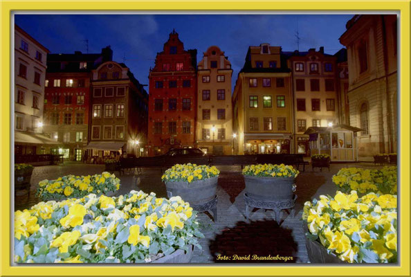 A0180.Stor Torget.Stockholm.SE