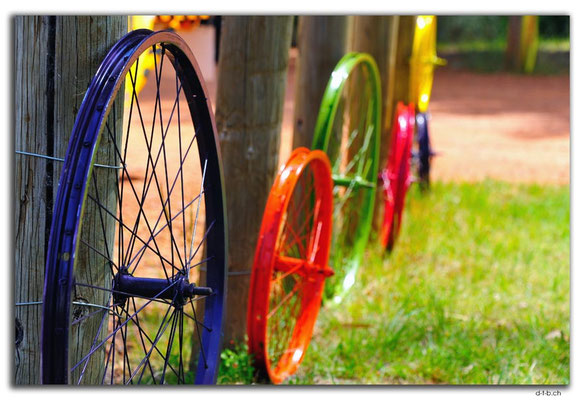 AU0739.Waroona.Bunte Velofelgen