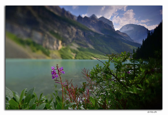 CA06321.Lake Louise.