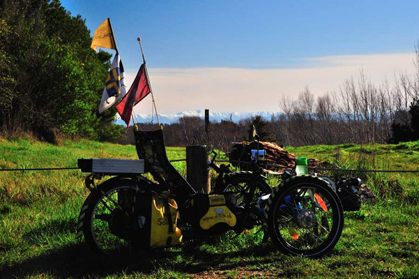 NZ: Trike bei Sawers Arms Reserve