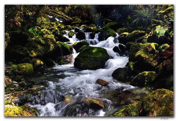 NZ0578.Anatoki Track.Stream