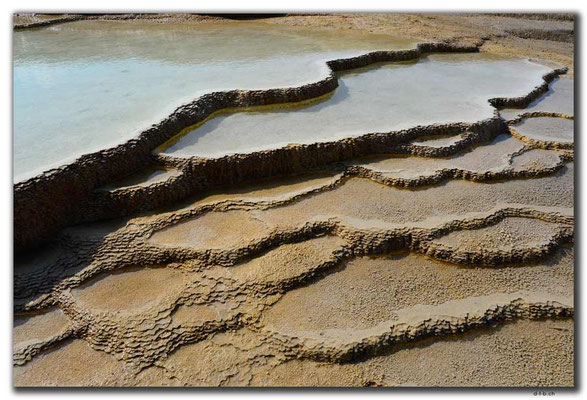 IR0315.Badab Soort