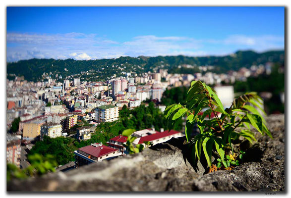 TR0979.Rize.Aussicht vom Schloss