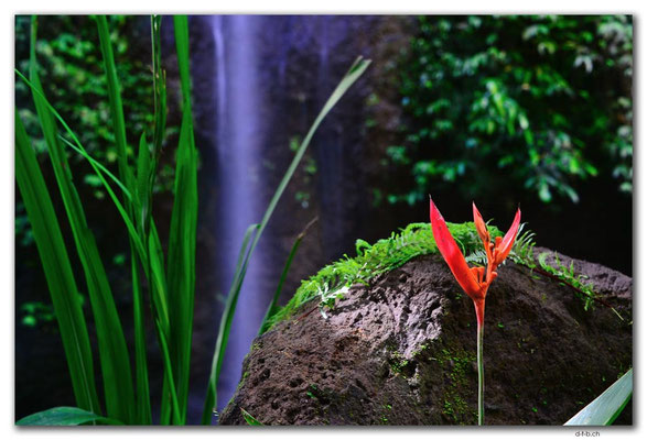 ID0123.Apuan.Tibumana Waterfall small