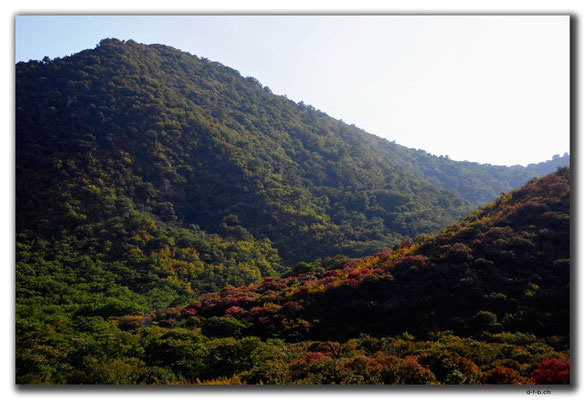 IR0336.Golestan N.P