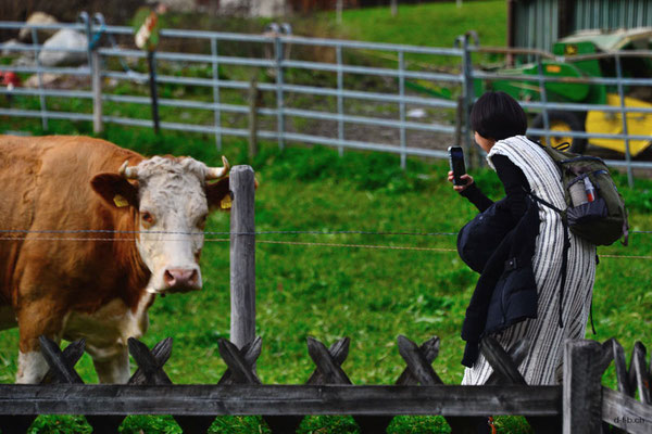 Schweiz.Grindelwald09