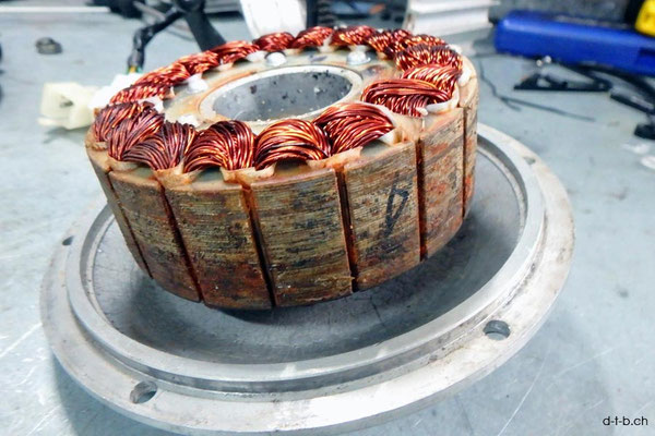 AU: Albany. Solatrike Vordermotor. Magnete verrostet