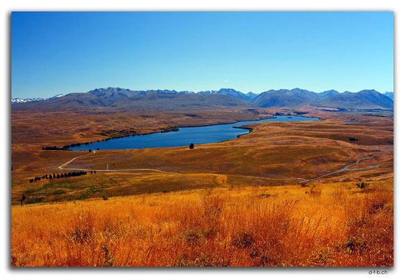 NZ0804.Lake Alexandrina
