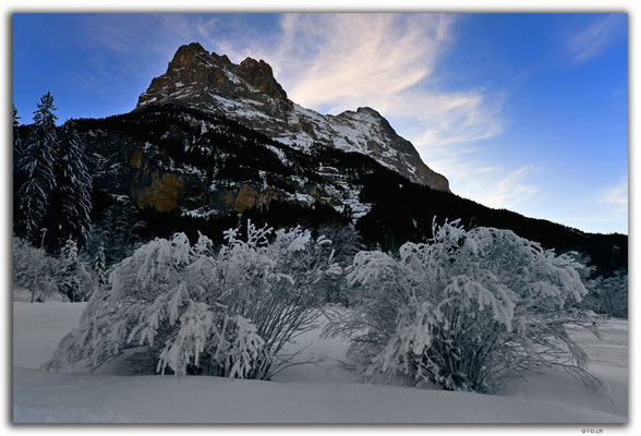 GW0665.Eiger and Ice crystals