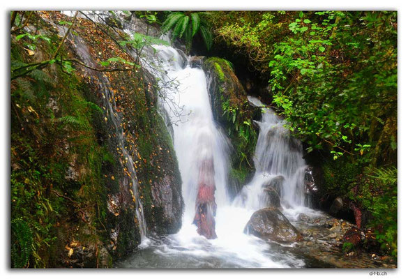 NZ0672.Nelson Lakes N.P.Open Stream Falls