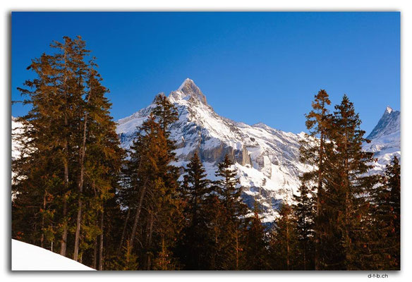 GW0070.Schreckhorn