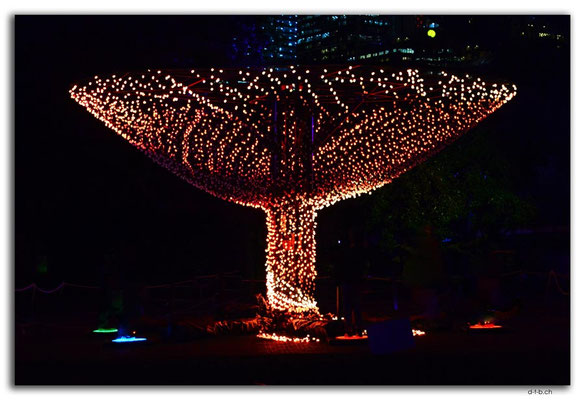 AU1576.Sydney.Vivid.Installation