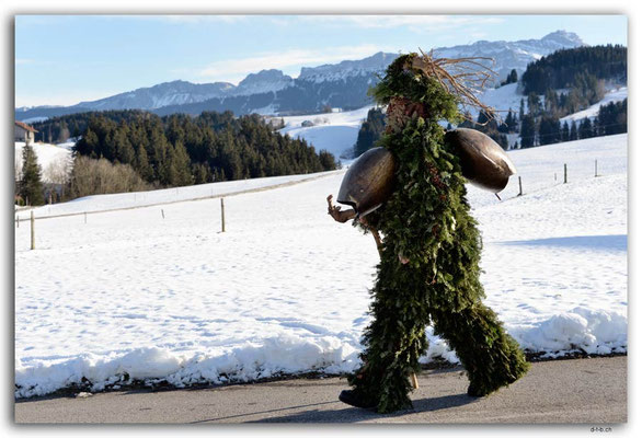 A0850.Silvesterchlausen.Waldstatt