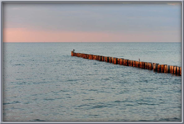 A0489.Zingst.