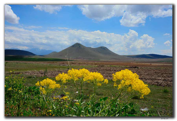 TR0913.Kayseri.Radiotelescope