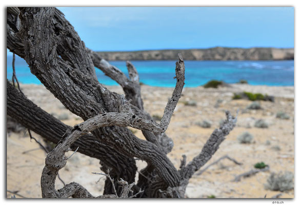 AU1019.Coffin Bay N.P. Golden Island Lookout