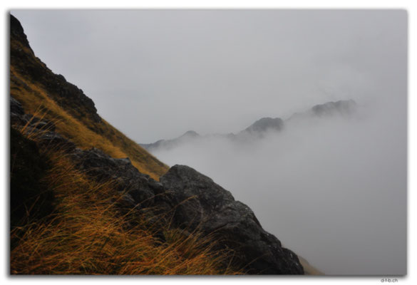 NZ0654.Nelson Lakes N.P.St.Arnaud Ridge in the fog