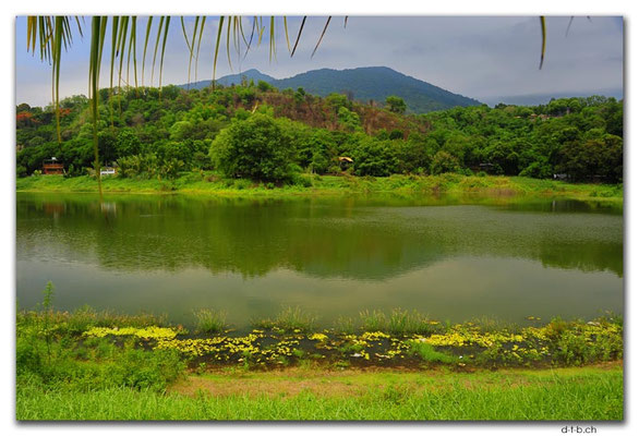 PH0123.Bundok Arayat