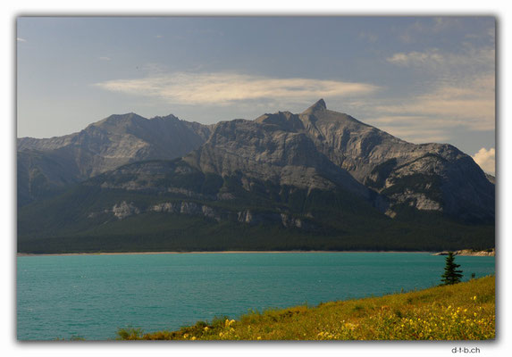 CA0597.Abraham Lake.Mount Mitchener