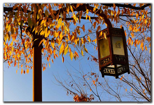 KR0288.Busan.Herbst