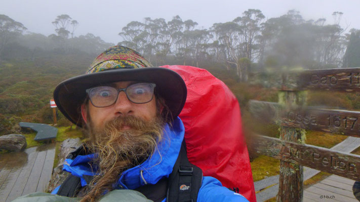 Australien.Tasmanien.Overland Track.Pelion Gap