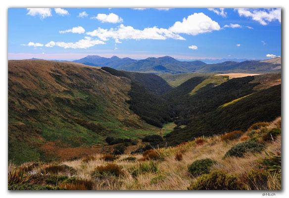 NZ0516.Kahurangi N.P.Deep Creek Valley