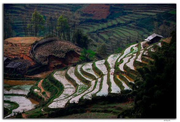 VN0054.Sapa.Muong Hoa Valley