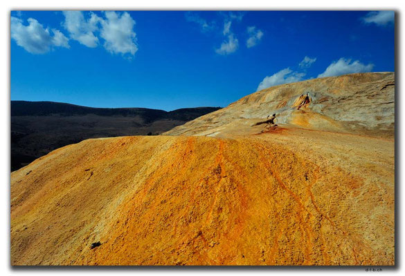 IR0297.Badab Soort
