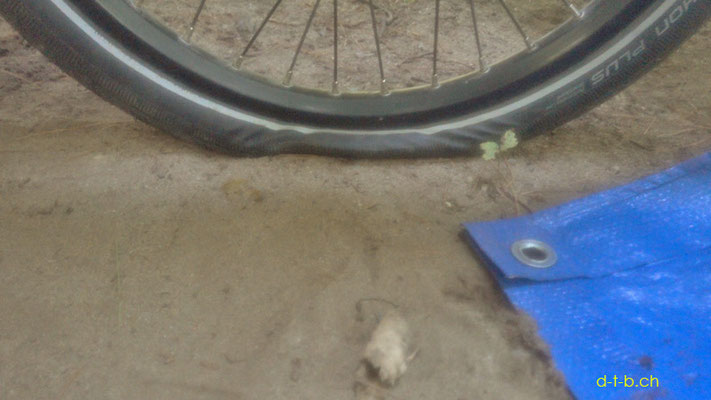 CA. Solatrike at Fitzroy P.P. Camp, Flat tyre again